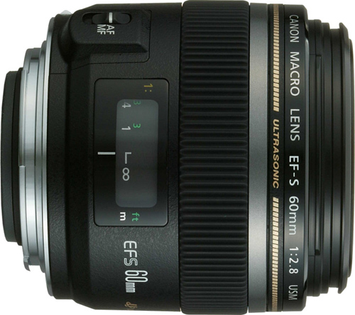 Macro Photography Equipment for Beginner - Macro Lens