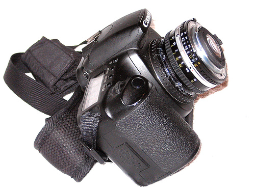 Macro Photography Equipment for Beginner - Reversing Lens