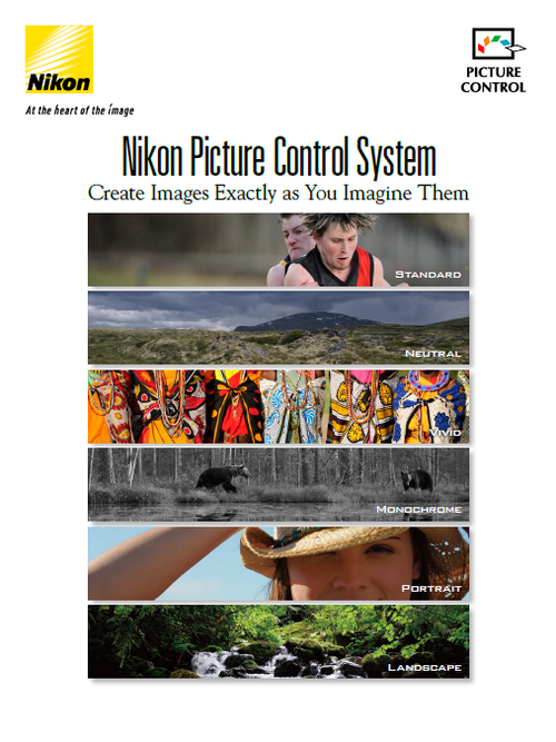 Nikon Picture Control System