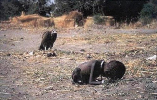Iconic Photograph - Vulture Stalking a Child