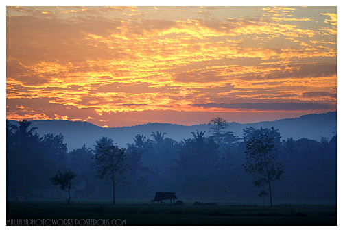 Photographing Stunning Sunrise - Gorgeous Sunrise