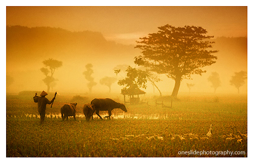 Photography Tips Creating Extraordinary Picture During Golden Hours - Indonesian Farmer