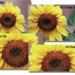 Filters Definition – closeup Filter Effect