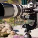 Tips and Tricks to Choose The Best Tripod