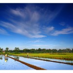 Water Reflection Photography