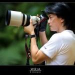 Widjita RM + Canon L 200mm f2