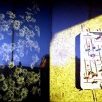 Lomography-4