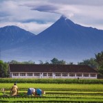 Mount Merapi