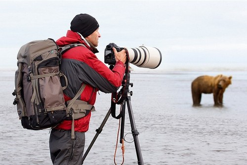 Wildlife Photography Tips and Tutorial with Chris McLennan