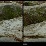 Nikon D800 vs D800e images