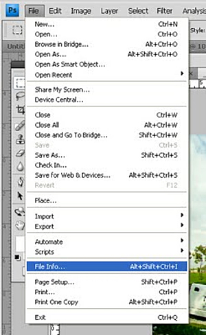 How to check shutter count nikon -1