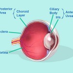 Eye diagram