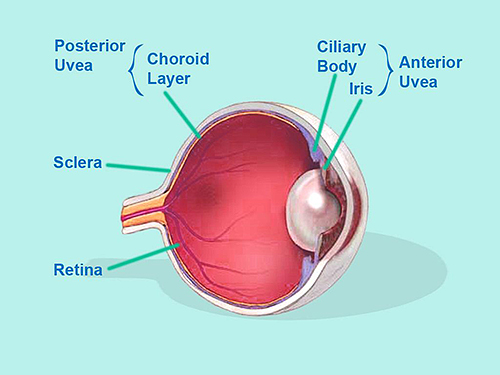 Eye diagram