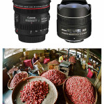 fisheye-lenses effect