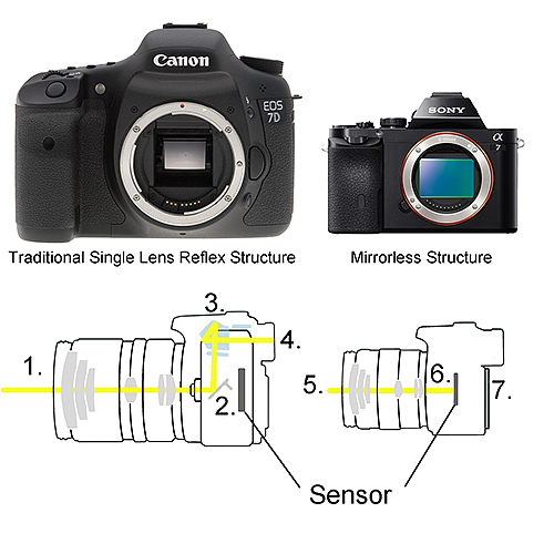 DSLR vs Mirrorless Camera Structure