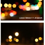 Canon 50mm vs Canon 40mm STM Bokeh